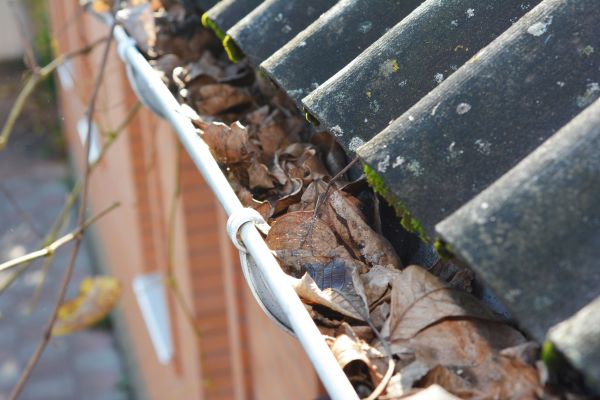 Home Gutter Cleaning in Wilmington