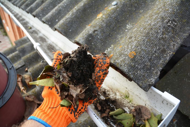Gutter Cleaning detail