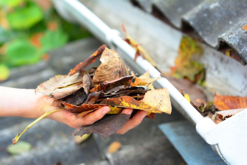Gutter Leaves Removal detail