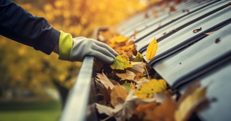 Preparing Gutters for Winter