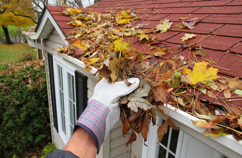 Gutter Leaf Clearing