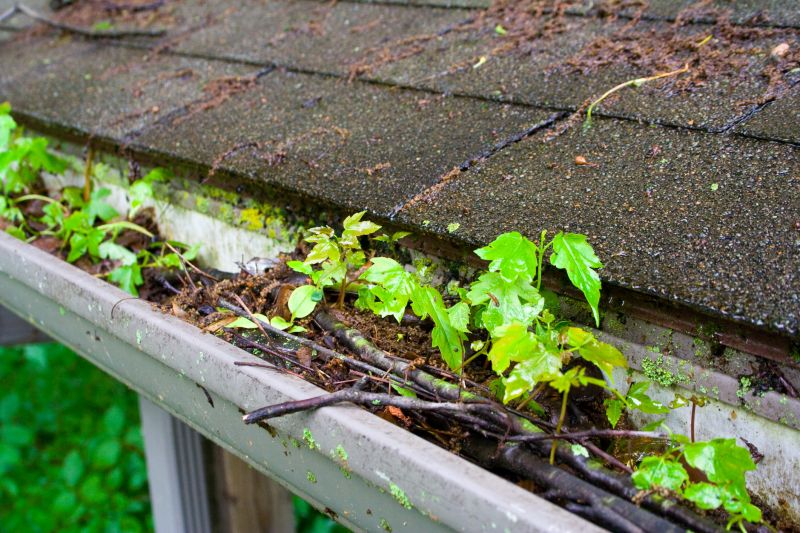 Roof Gutter Debris Removal